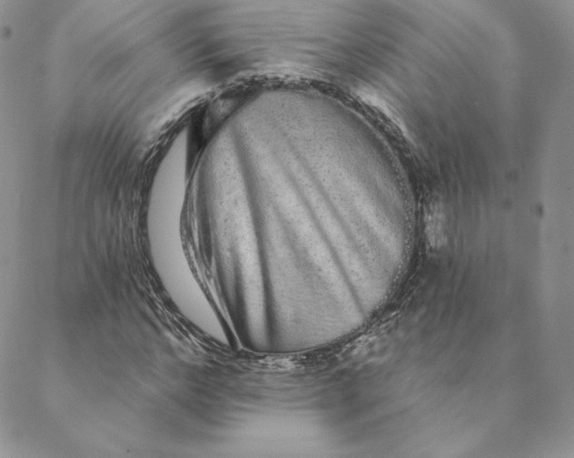 X0000088590968200706081324