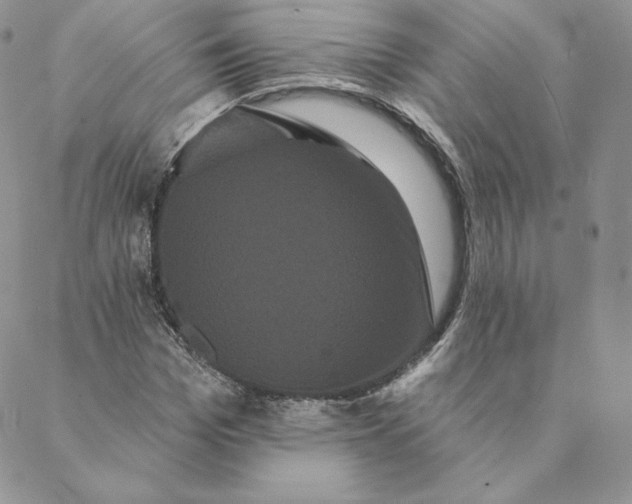 X0000088590969200706081324