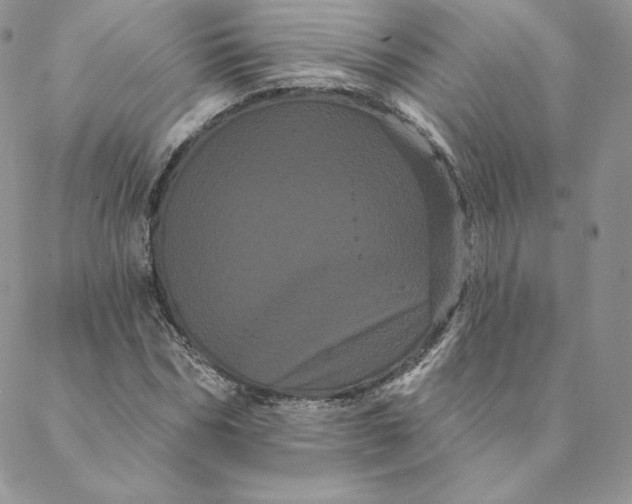 X0000088590970200706081324