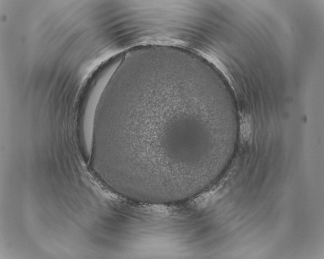 X0000088590971200706081324