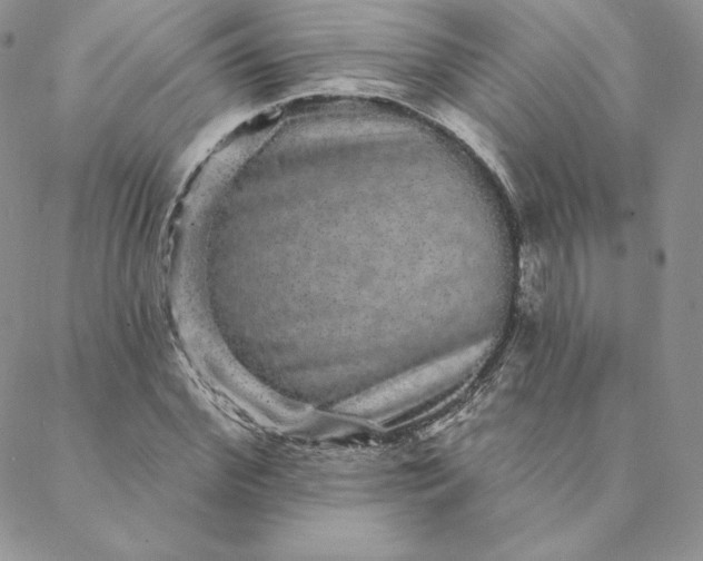 X0000088590972200706081324