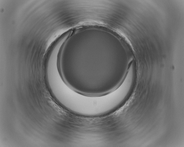 X0000088590973200706081324