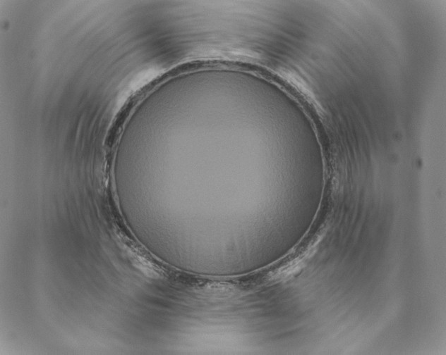 X0000088590974200706081324