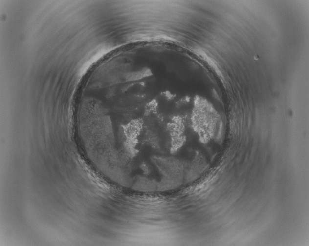 X0000088590975200706081324