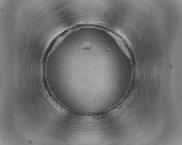 X0000088590976200706081323