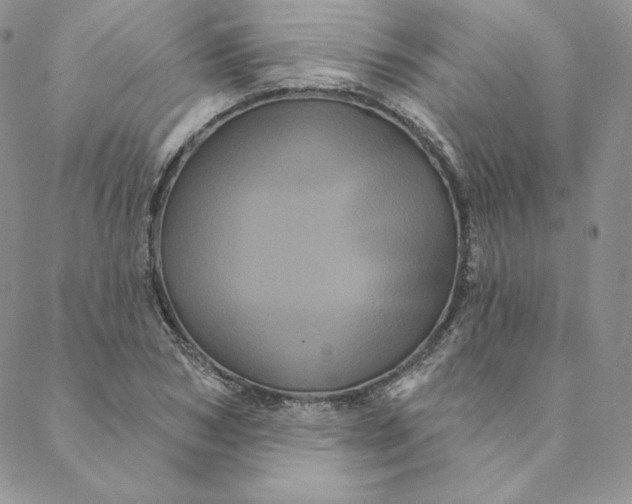 X0000088590978200706081323