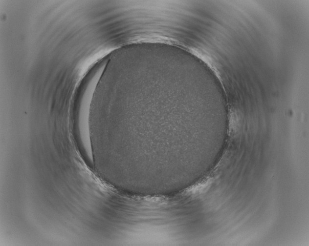 X0000088590979200706081323