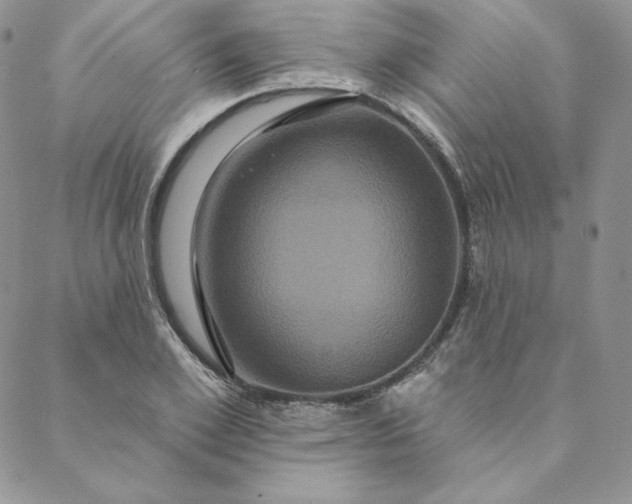 X0000088590981200706081323