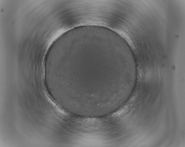 X0000088590982200706081323