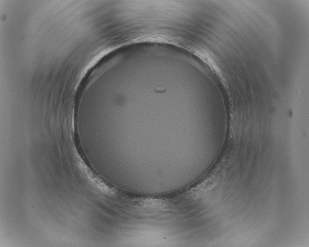 X0000088590984200706081323