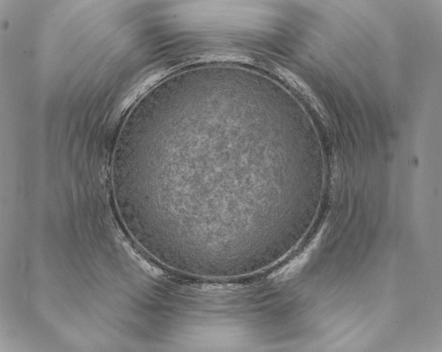 X0000088590985200706081323