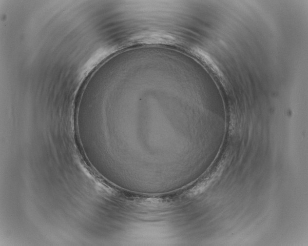 X0000088590986200706081323