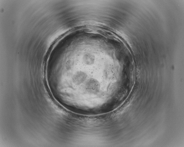 X0000088590987200706081323