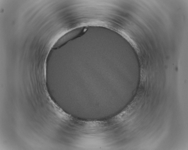 X0000088590988200706081323