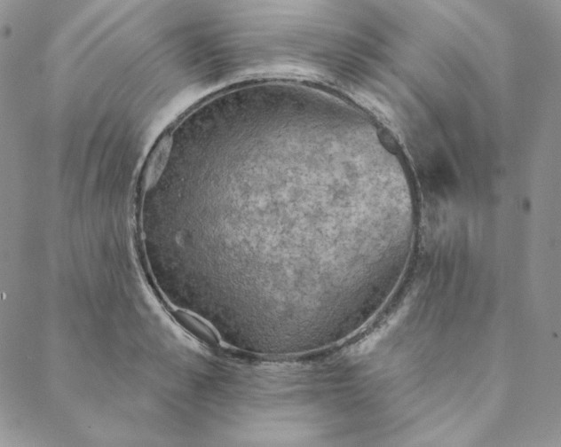 X0000088590989200706081323