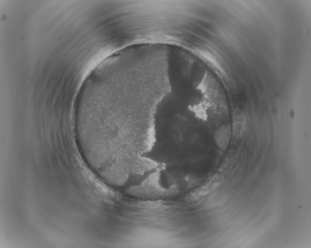 X0000088590990200706081323