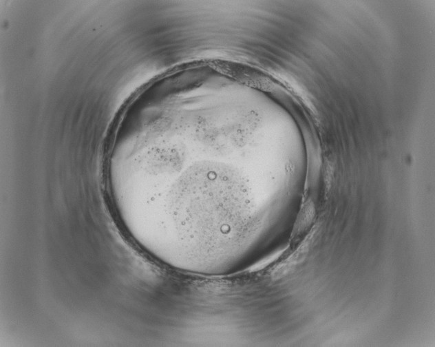 X0000088590991200706081323