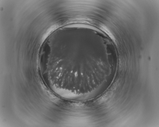 X0000088590994200706081323