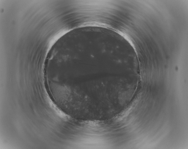 X0000088590995200706081323