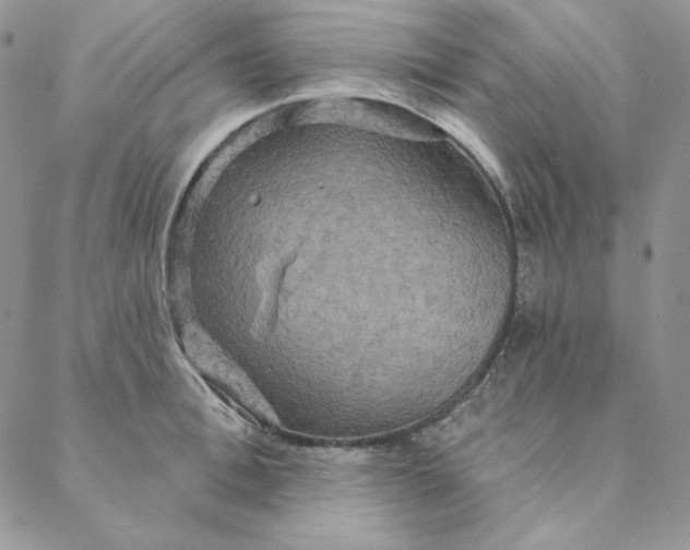 X0000088590996200706081323