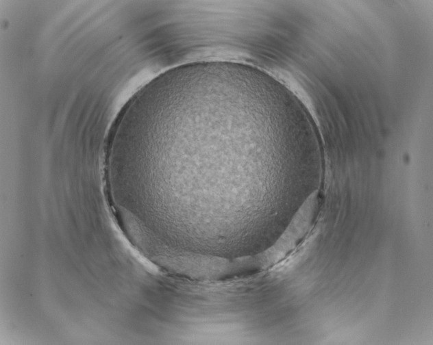 X0000088590997200706081323