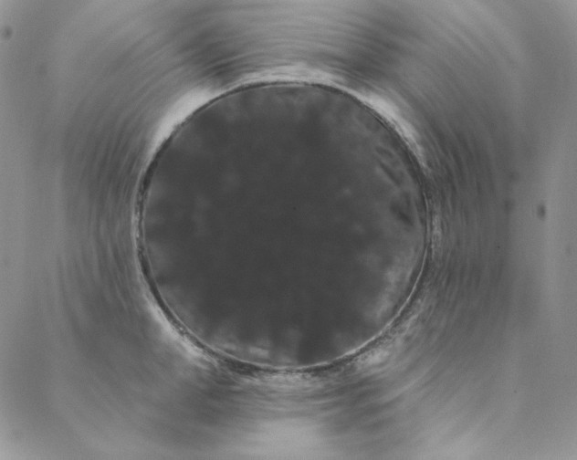 X0000088590998200706081323