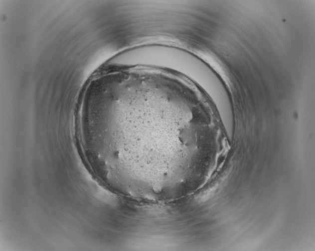 X0000088590999200706081323