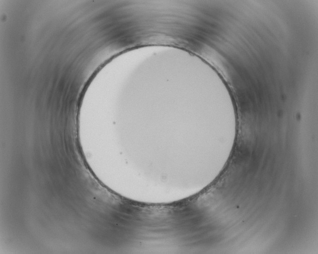 X0000088591000200706081323