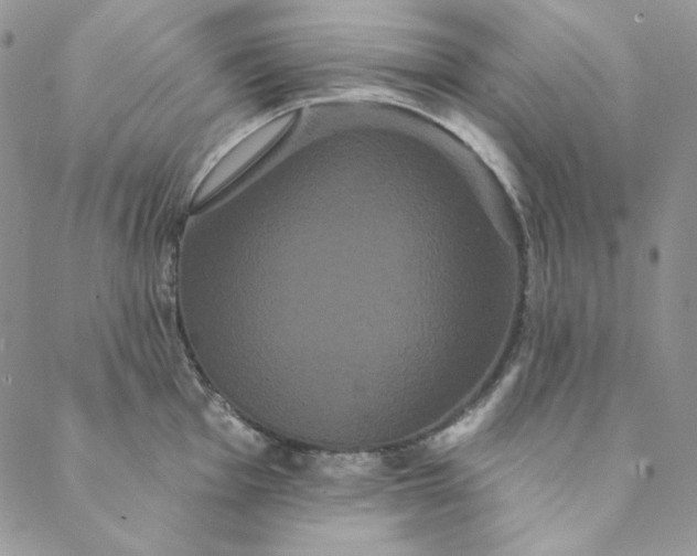 X0000088591001200706081323