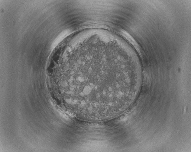 X0000088591002200706081323