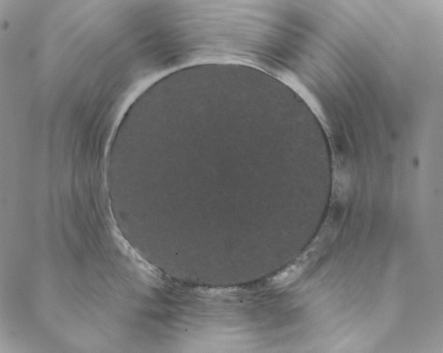 X0000088591004200706081323