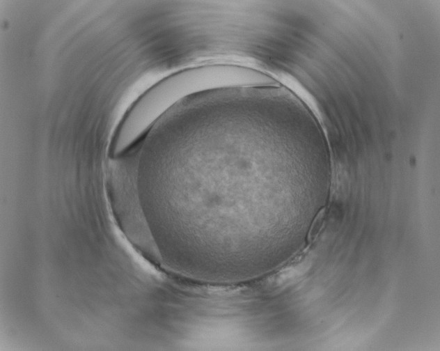 X0000088591005200706081323