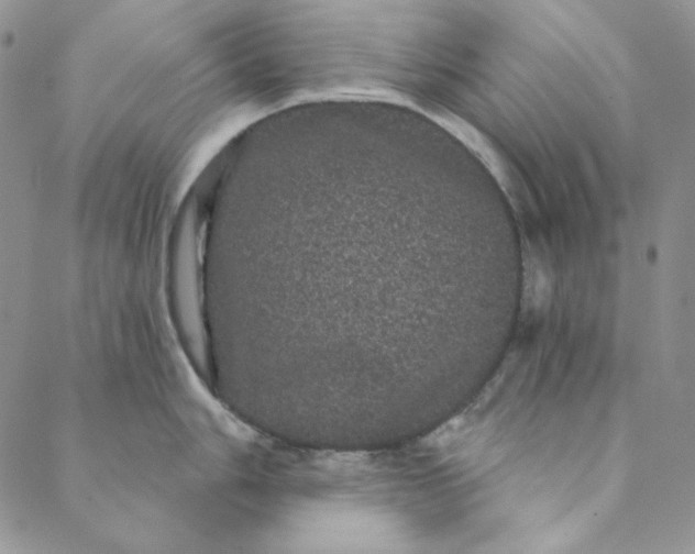 X0000088591006200706081323