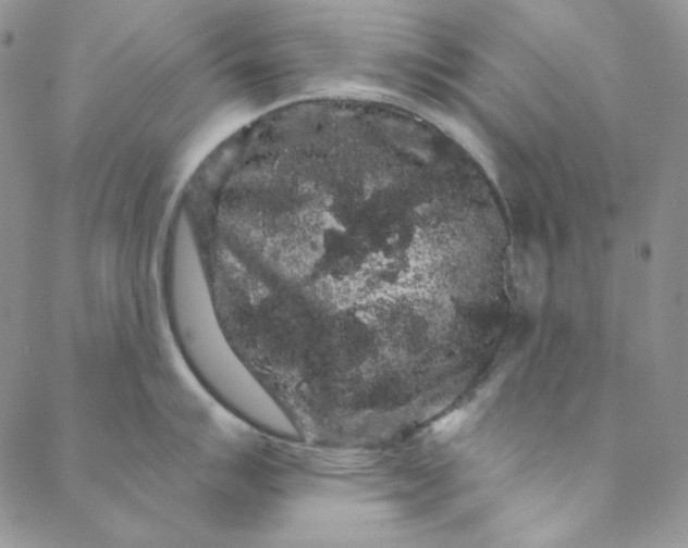 X0000088591007200706081323