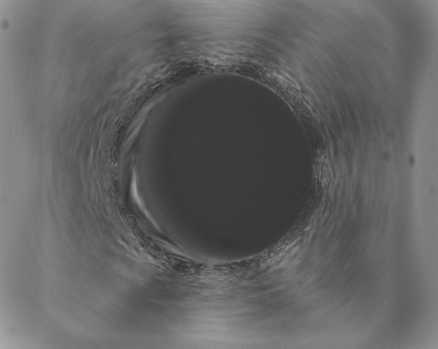 X0000088591009200706081322