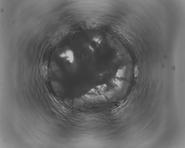 X0000088591011200706081322