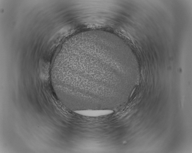 X0000088591012200706081322