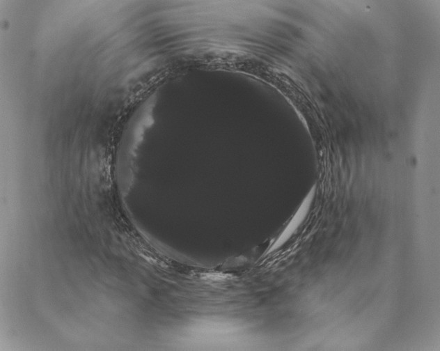 X0000088591013200706081322