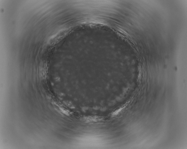 X0000088591014200706081322