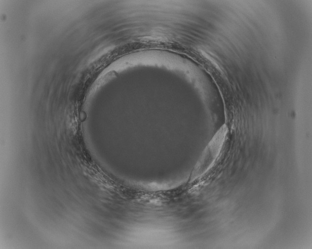 X0000088591015200706081322