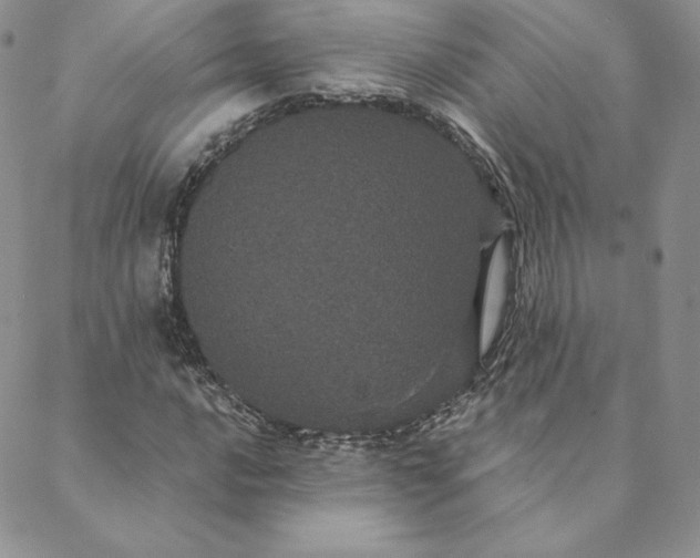 X0000088591016200706081322