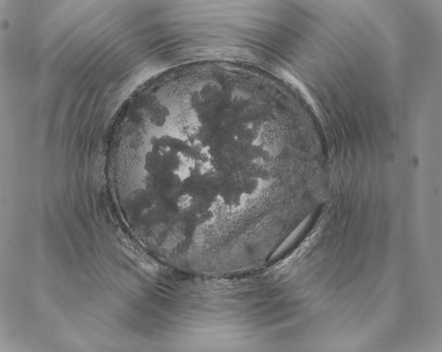 X0000088591019200706081322