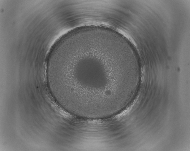 X0000088591021200706081322