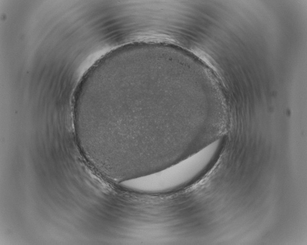 X0000088591022200706081322