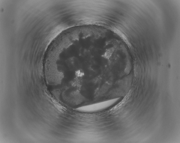 X0000088591023200706081322