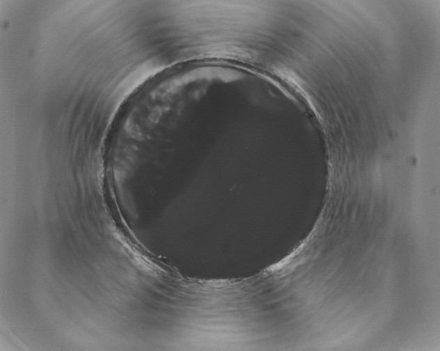 X0000088591024200706081322