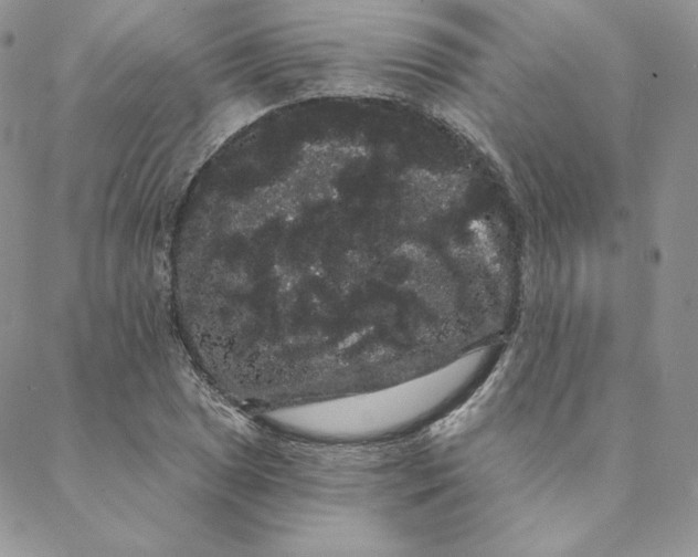 X0000088591025200706081322