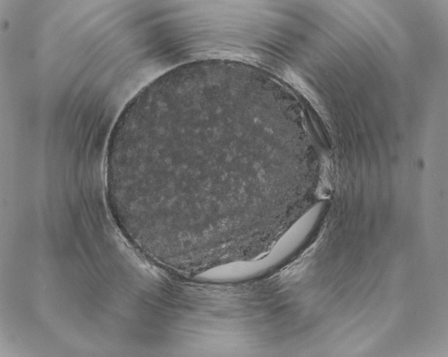 X0000088591028200706081323