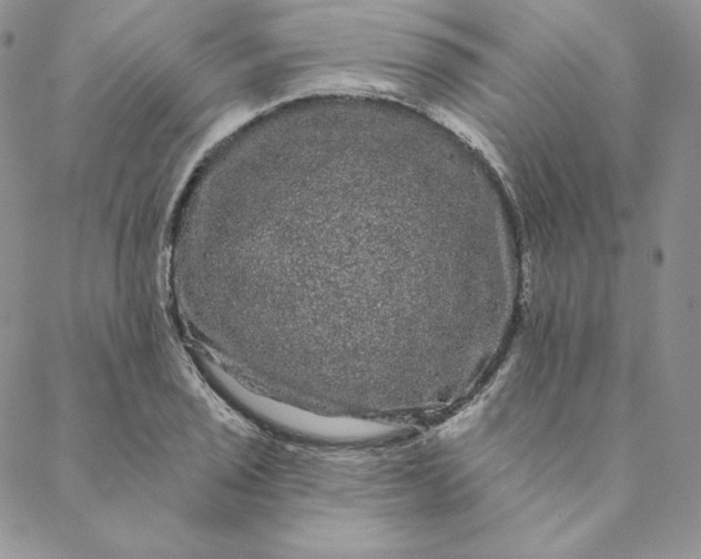 X0000088591029200706081323