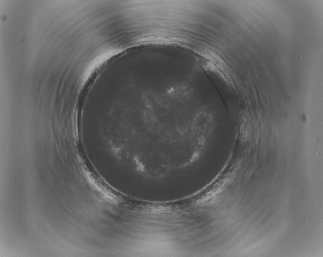 X0000088591030200706081323